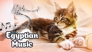 Ancient Egyptian Cat Music with Maine Coon 🌟 Gateway to Happiness and Serenity for Cats [upl. by Evyn]