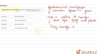 Agrobacterium tumefaciens used in Genetic engineering for [upl. by Ocir]