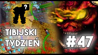 PL Tibia  Tibijski Tydzień  ORSHABAAL RAID 47 [upl. by Lyndsie]