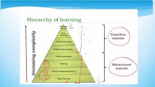 Types of learning Gagnes Hierarchy of learning [upl. by Adley]