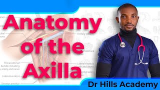 Anatomy of the Axilla and Axillary Dissection Simplified with Mnemonics [upl. by Avehsile]