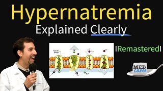 Hypernatremia Explained Types Diagnosis amp Treatment [upl. by Kienan]