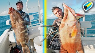 Spearfishing BAHAMAS for HUGE FISH Ep 2 [upl. by Darice45]