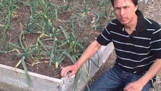 Raised Bed Construction Ideas  Wood  Concrete and Rip Rap A Visit to a Local Community Garden [upl. by Chapen911]