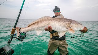 BLUE CRAB FOR BAIT caught a personal RECORD redfish [upl. by O'Brien968]