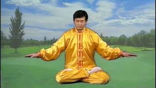 Falun Dafa Exercise 5 60 minutes [upl. by Donall]