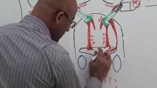 Middle Ear  Gross Anatomy  Part 79 [upl. by Zerk]