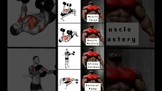 Revitalize Your Chest Workout sixpack absworkout shorts trendingshorts viral [upl. by Aniratak495]