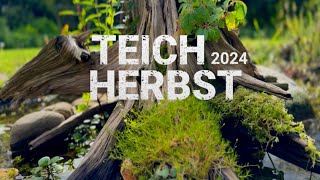 Herbstlicher Teich mit 3 Wasserfällen amp exotischen Pflanzen – DIY Oase 2024 [upl. by Holzman159]