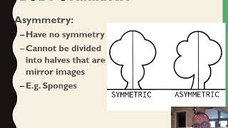 6  Grd 11 Biodiversity Of Animals Lesson Intro Symmetry Cephalisation [upl. by Berwick]