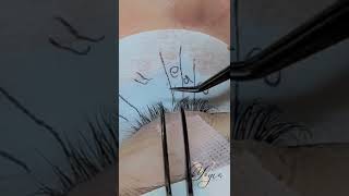 Classic lash placement and Isolation tips [upl. by Atsahs]