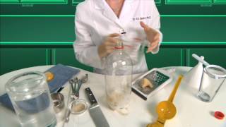 What Is Cool About Fermentation  Food Science [upl. by Jacquenetta]