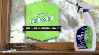 Concrobium Mold Control Indoor Mold Fighting Guide [upl. by Orlantha699]