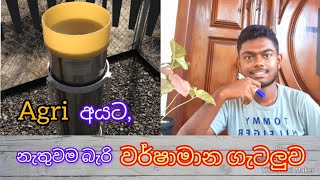 AL agriculture කරන අයට වැදගත් ම කොටසක්✍️✍️✍️ Agri Shen [upl. by Cyrano307]