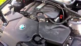 Bmw E46 3 Series N46 Engine Tickover Idle Rpm Sound 318i [upl. by Dachia]