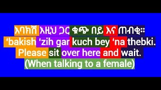 Amharic Phrases And Words For BeginnersAmharic Language LessonLearn Amharicአማርኛእንግሊዝኛኢትዮጵያ [upl. by Hyozo351]