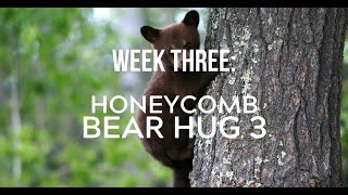 AWANA Cubbies  Honeycomb  Bear Hug 3 Week 3 [upl. by Gasper975]