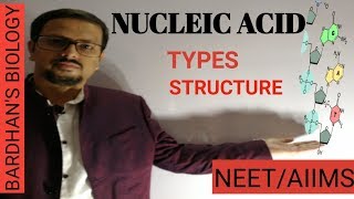 NUCLEIC ACIDS structure in detail amp types Biomolecules in HINDI [upl. by Ainahs]