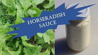 Horseradish  foraging preserving amp making sauce [upl. by Neleh]