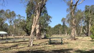 Rotary Park Free Camping  Echuca Victoria [upl. by Aserehtairam485]