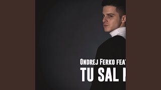 Tu Sal Miri feat Vajdis [upl. by Allare]