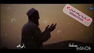 Beautiful Naat naatshareef deenvibes [upl. by Dorison]