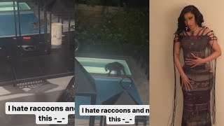 Cardi B Catches Raccoon Trying To Get In Her Pool😂😂😂😭😭😭 [upl. by Nnahsal]