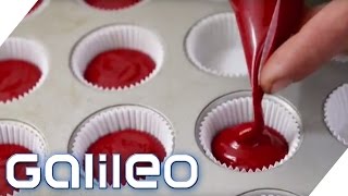 Schokolade und Cupcakes aus Blut  Ist das genießbar  Galileo  ProSieben [upl. by Gnanmos]