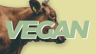 Heres why we need to rethink veganism [upl. by Elrahc536]