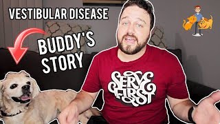 Whats Vestibular Disease in Dogs Really Like Dan amp Buddys story [upl. by Millie802]