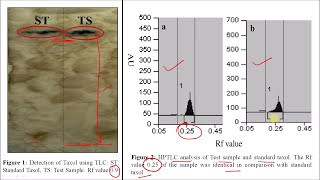 Taxol Part 02  Industrial Production Isolation Method Estimation and Utilization Part 14 [upl. by Ayanal]