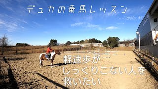 【乗馬】軽速歩がしっくりこない人に試してほしい練習を動画にしてみた 【馬ブログ】 [upl. by Jolenta803]