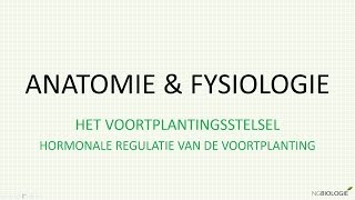 Hormonale regulatie van de voortplanting [upl. by Anirdnajela]