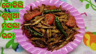 କୋକିଲି ଶୁଖୁଆ ମସଲା ଭଜା  Kokili Sukhua Masala Bhaja  Sukhua Masala Fry  Tasty Odia Recipe [upl. by Ahsart]