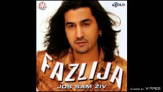 Fazlija  Ti si me digla iz pepela  Audio 2003 [upl. by Rogerg]