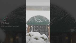 Winter at Woodloch ❄️ woodloch winter christmas wintervacation pocono poconomtns snow fyp [upl. by Janeva901]