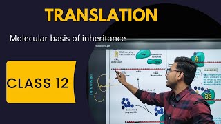 TRANSLATIONPROTEIN SYNTHESISMOLECULAR BASIS OF INHERITANCENCERT 12TH [upl. by Abocaj92]