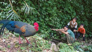 Hunting wild chicken wild chicken meat is very nutritious for pregnant women [upl. by Sirob]