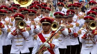 Basel Tattoo Parade 2014 [upl. by Eirene750]