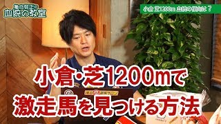 60万馬券も夢じゃない 小倉芝1200mで使える血統法則亀谷敬正 [upl. by Lauree]