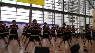 4K 60p 早稲田大学 SHOCKERS  Night In Motion [upl. by Tihor583]