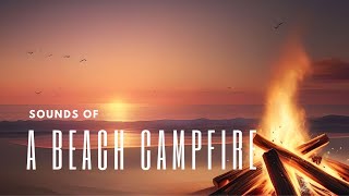 Tranquil Beach Campfire 🌊 🔥 Cozy Crackling Fire amp Soothing Ocean Waves for Ultimate Relaxation [upl. by Ellenrad]