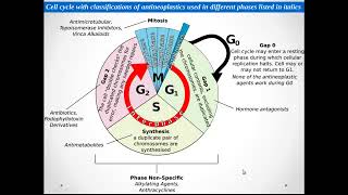 ANTI CANCER PHARMACOLOGY [upl. by Akemad]