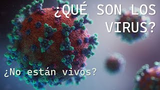 Los virus qué son ciclo de replicación y clasificación  Deinospalaios [upl. by Elleinnad]