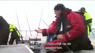 Gulvissen op de Noordzee met de Sea Leopard [upl. by Ran]