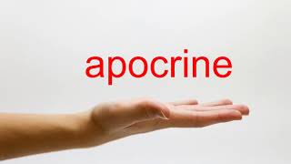 How to Pronounce apocrine  American English [upl. by Luttrell]