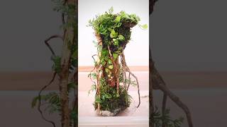 Ancient vines terrarium hardscape [upl. by Onimod]