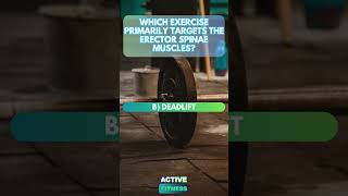 Targeting the Erector Spinae Muscles  Fitness Trivia [upl. by Forlini]