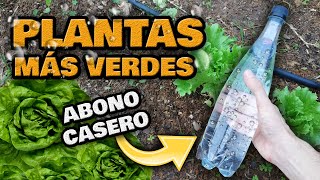 INCREIBLE ABONO CASERO para Plantas con AGUA CON GAS  Fertilizante Casero Natural para Plantas [upl. by Winthrop]