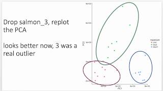 How I analyze RNA Seq Gene Expression data using DESeq2 [upl. by Brighton]